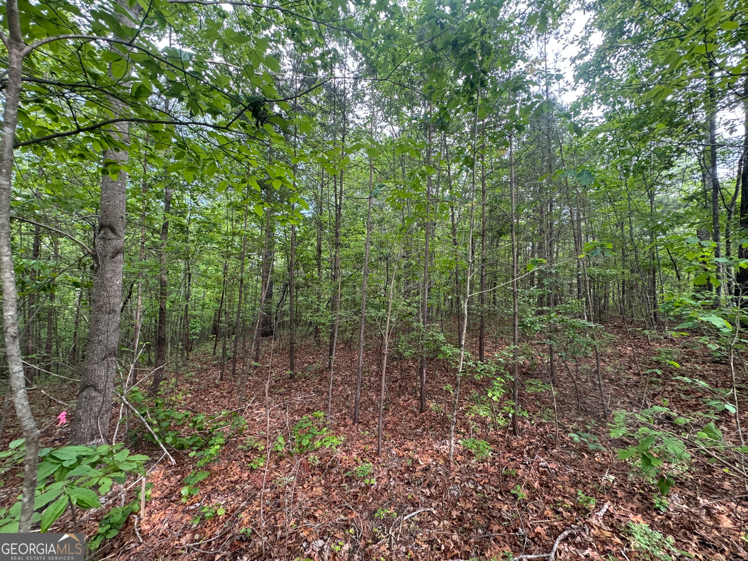 1786 Jones Mountain RD