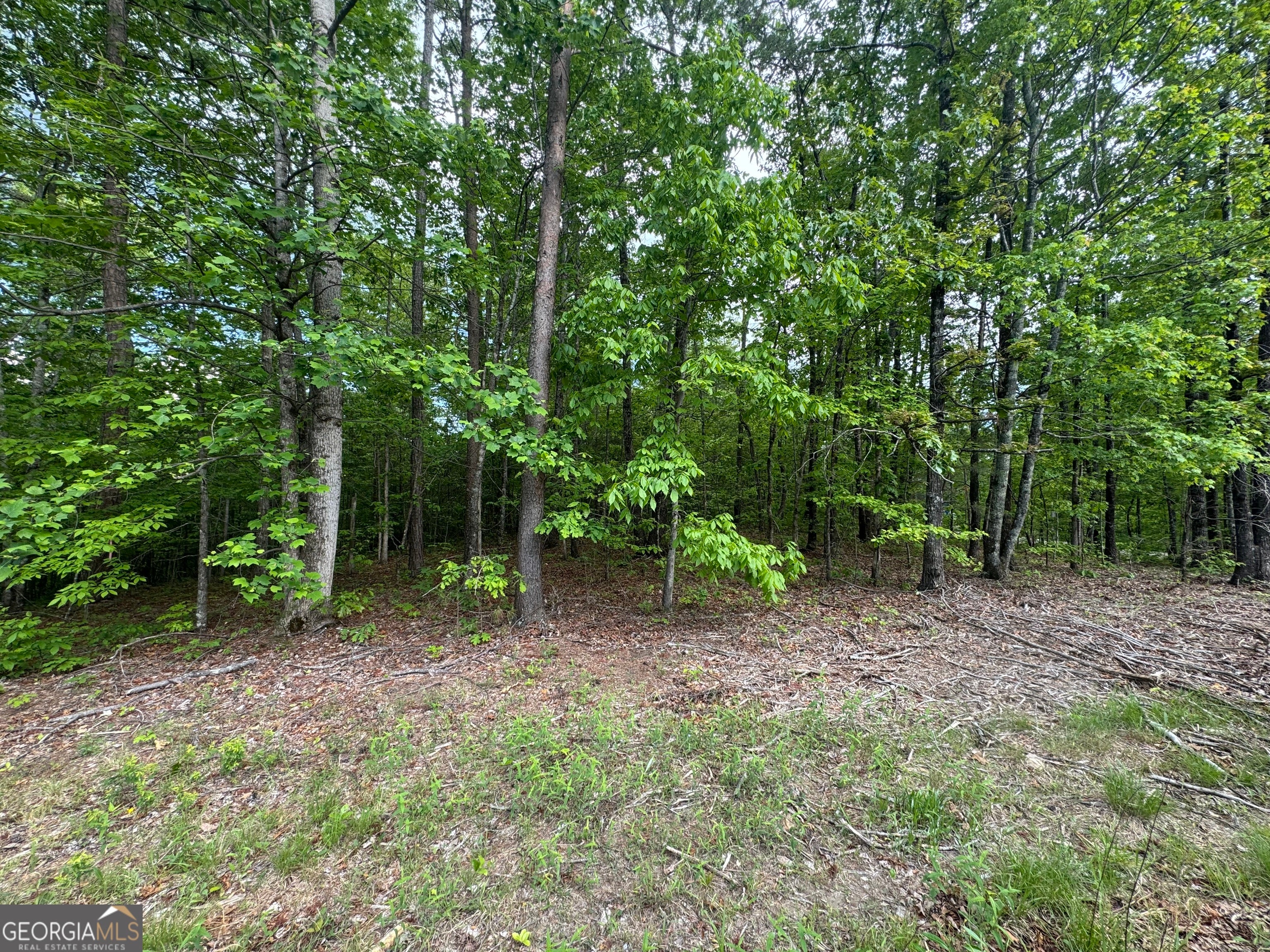 1786 Jones Mountain RD