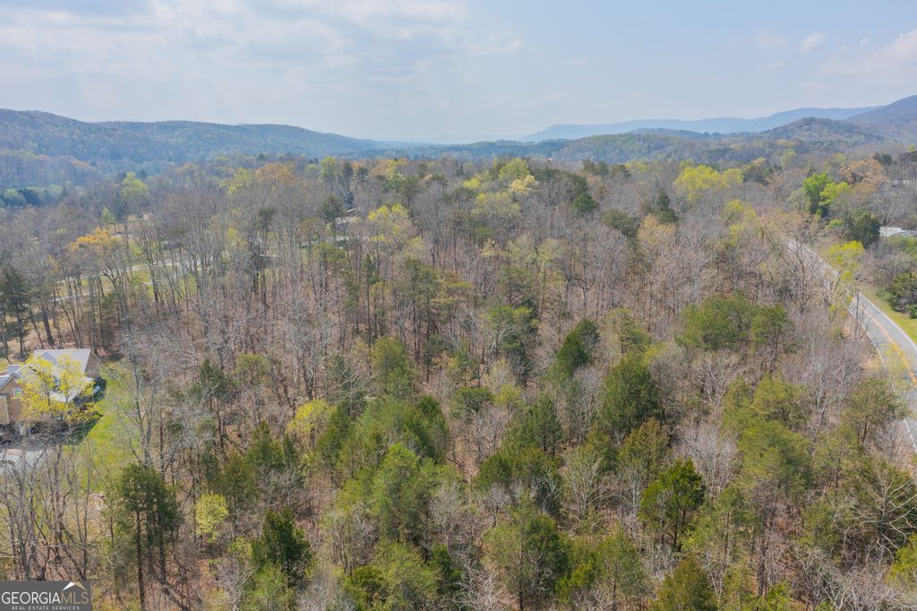 Photo of 1007 Kendricks Switch Road #TRACT 2, Chickamauga, GA 30707 (MLS # 10725492)