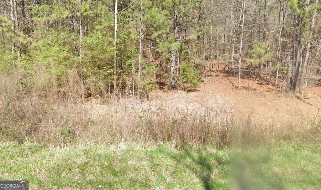 Photo of 387 Michael Boulevard, Cedartown, GA 30125 (MLS # 10694915)