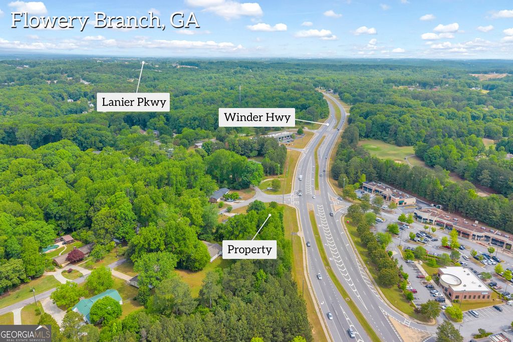 Photo of 4004 Winder Highway, Flowery Branch, GA 30542 (MLS # 10758373)