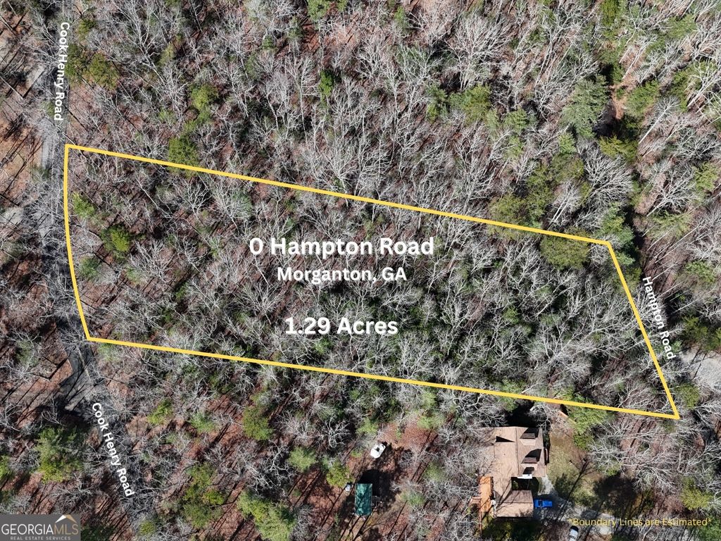 Photo of 0 Hampton Road, Morganton, GA 30560 (MLS # 10709847)