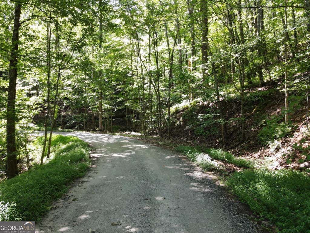 Photo of 0 Bald Eagle Path, Cleveland, GA 30528 (MLS # 10818655)