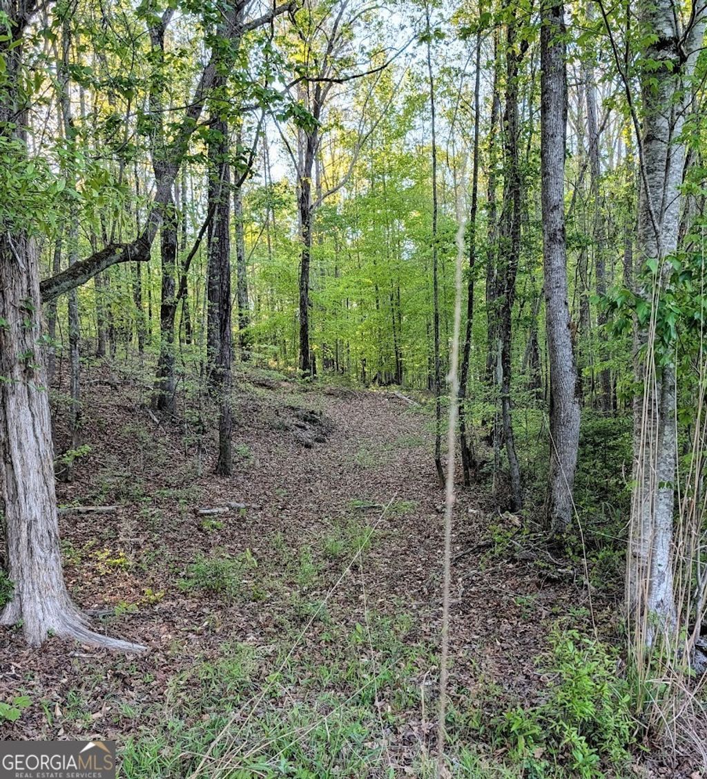 Photo of 0 Ga Hwy 116, HAMILTON, GA 31811 (MLS # 10729828)