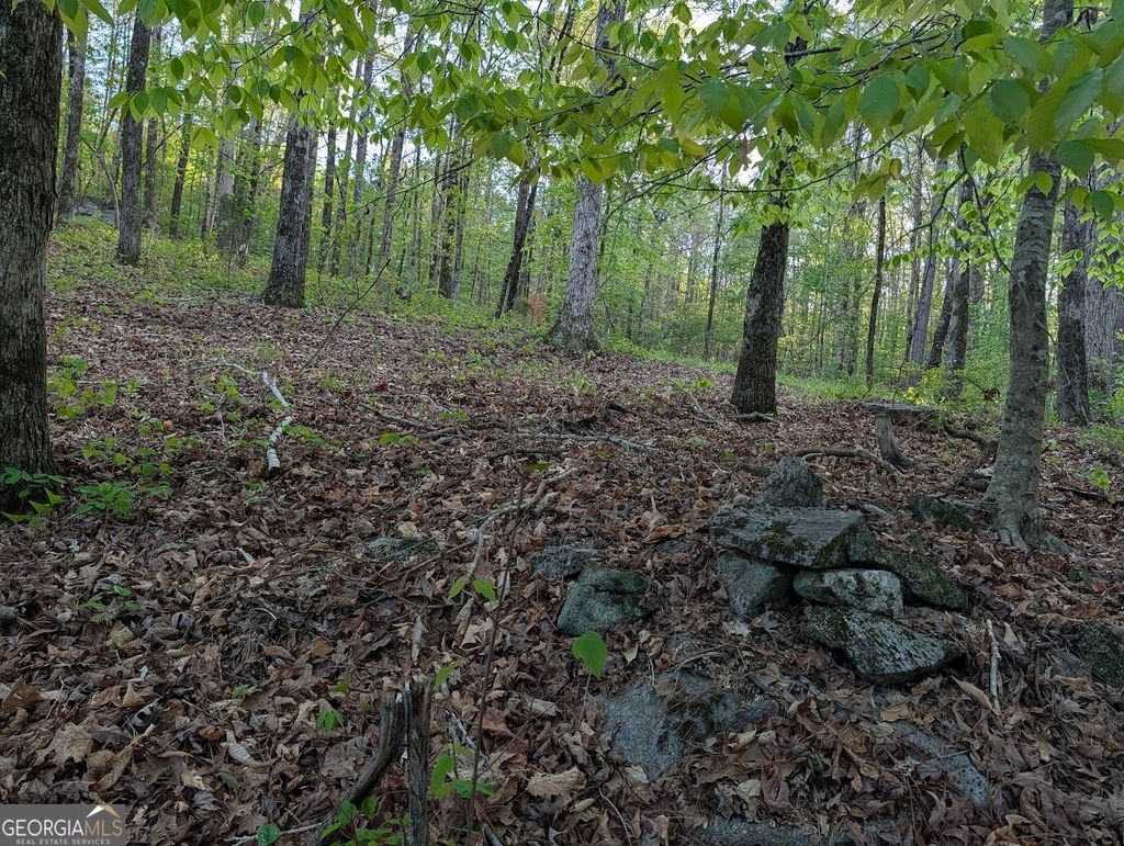 Photo of 0 Ga Hwy 116, HAMILTON, GA 31811 (MLS # 10729828)