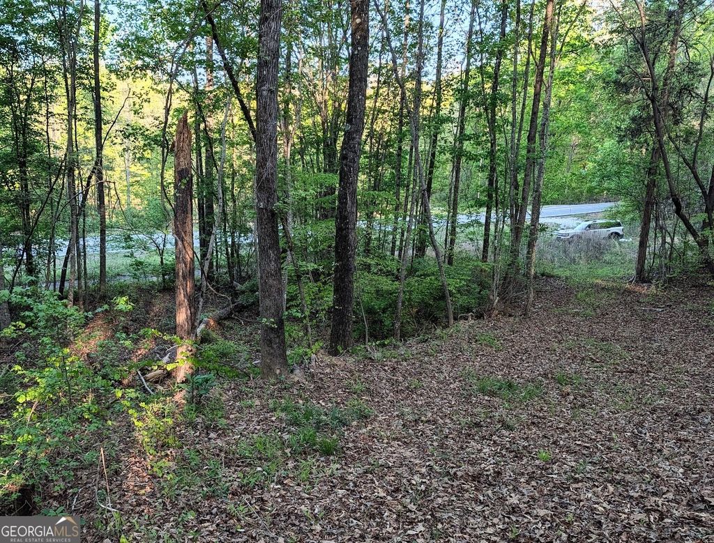 Photo of 0 Ga Hwy 116, HAMILTON, GA 31811 (MLS # 10729828)