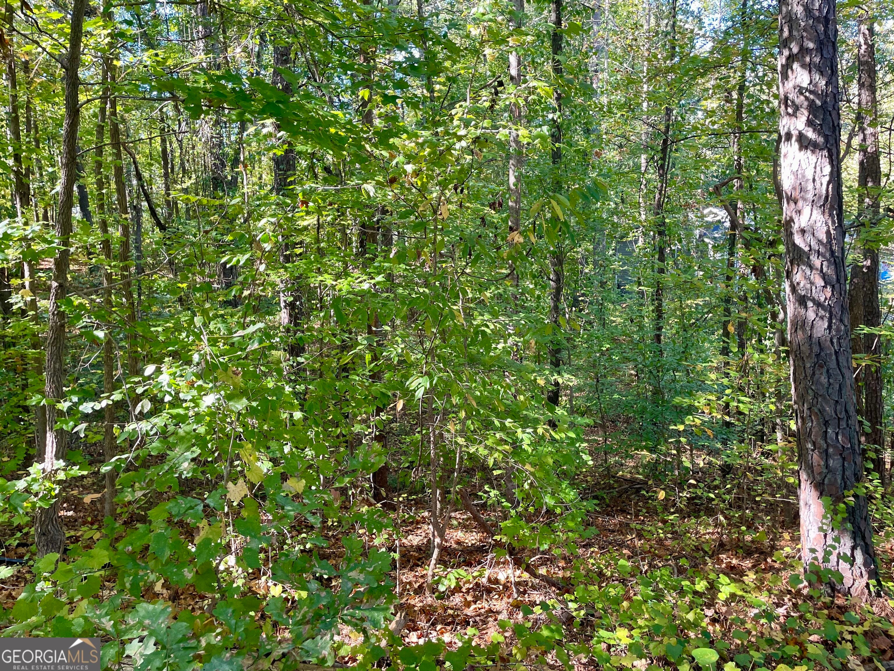 237 Emerald Pines DR