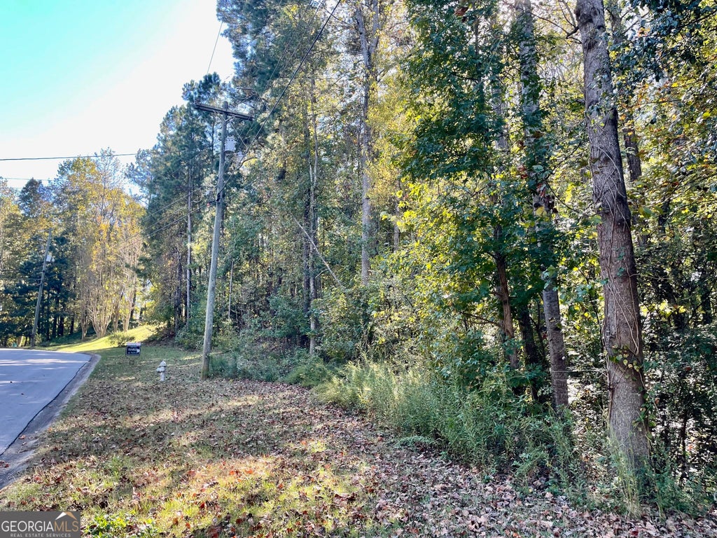 Photo of 237 Emerald Pines Drive, Dallas, GA 30157 (MLS # 10877731)
