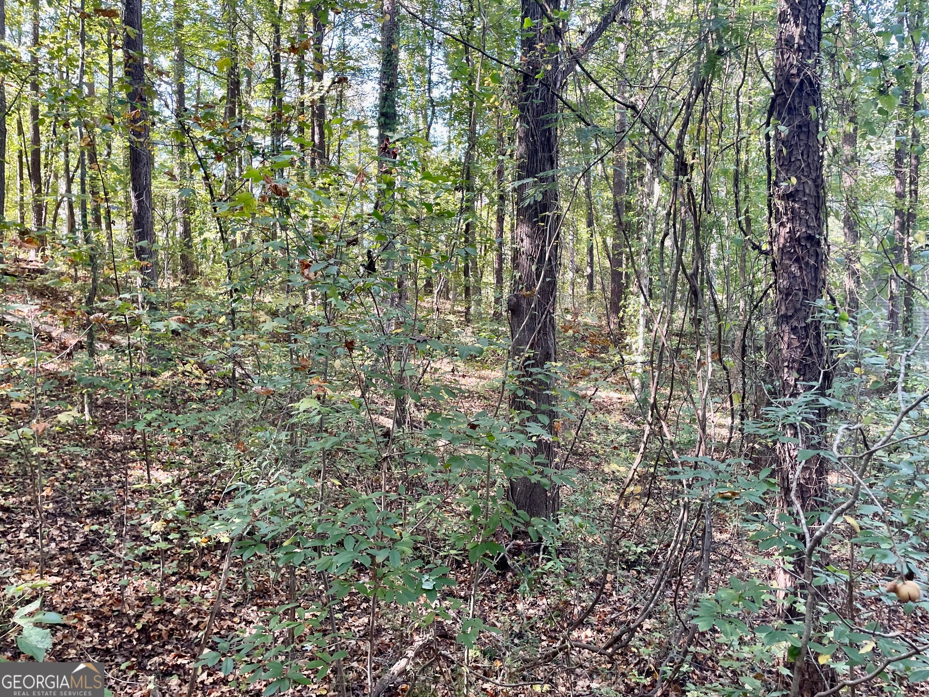 237 Emerald Pines DR