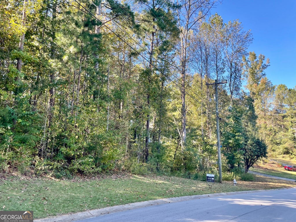 Photo of 237 Emerald Pines Drive, Dallas, GA 30157 (MLS # 10877731)