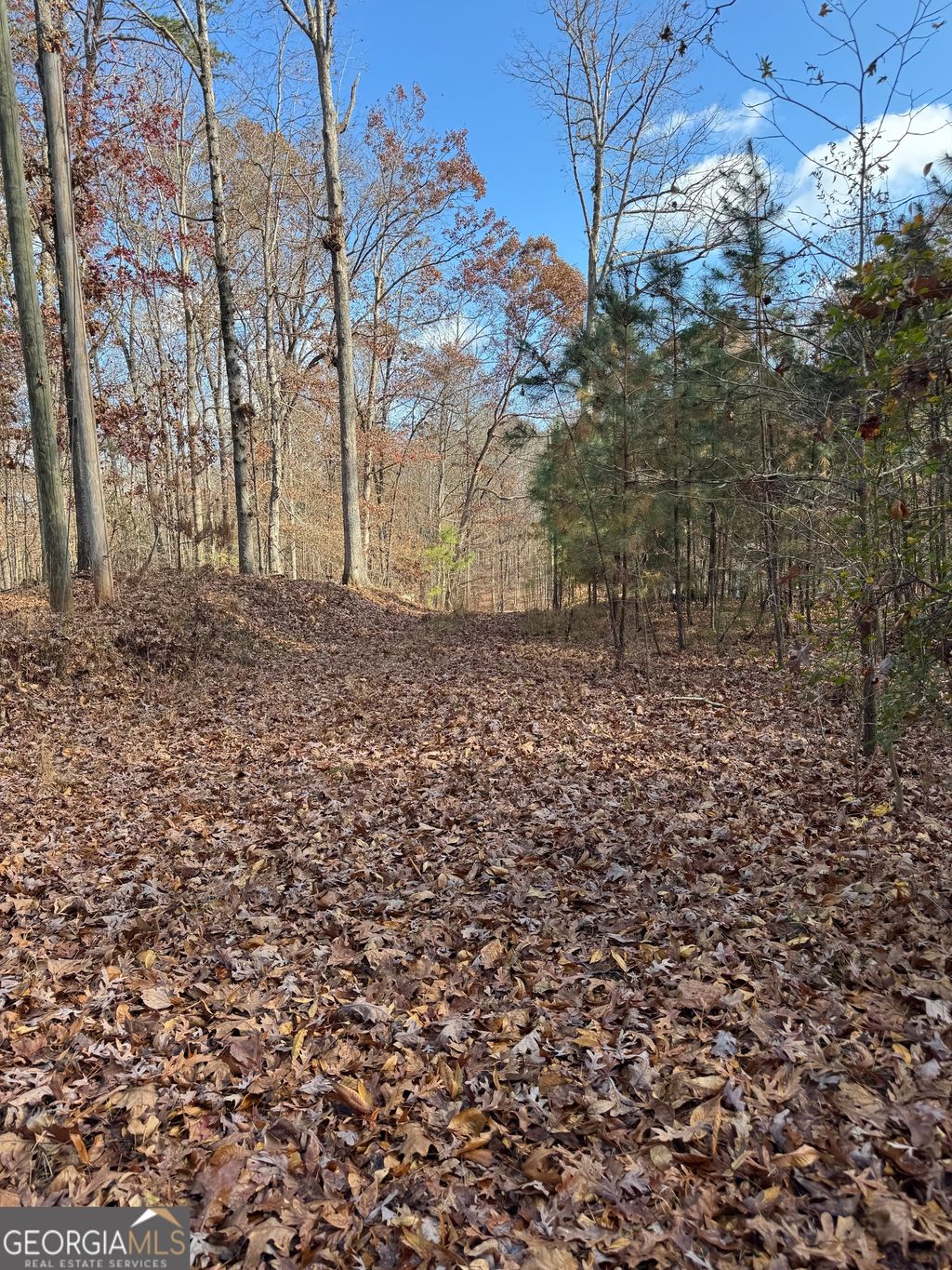 Photo of 857 Laurel Lane, Winder, GA 30680 (MLS # 10660177)