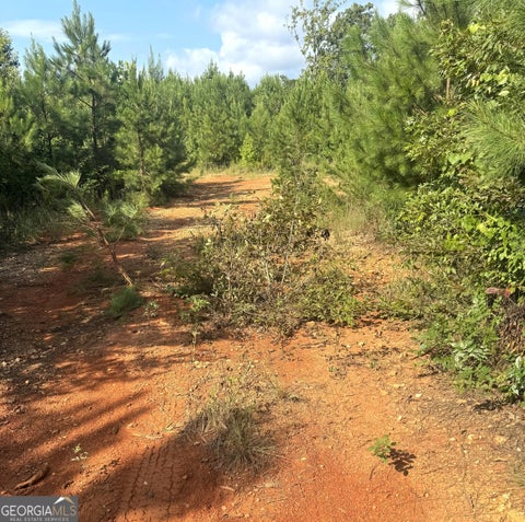 Photo of 0 Co Rd 49, Muscadine, AL 36269 (MLS # 10775803)