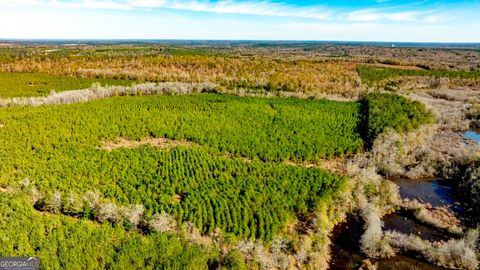 Photo of 0 Mead Rd. & Cemetery, Ideal, GA 31041 (MLS # 10675122)