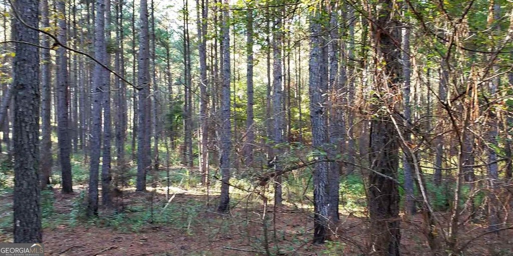 Photo of 0 Arnold Caldwell Road Lot 11, Carlton, GA 30627 (MLS # 10882556)