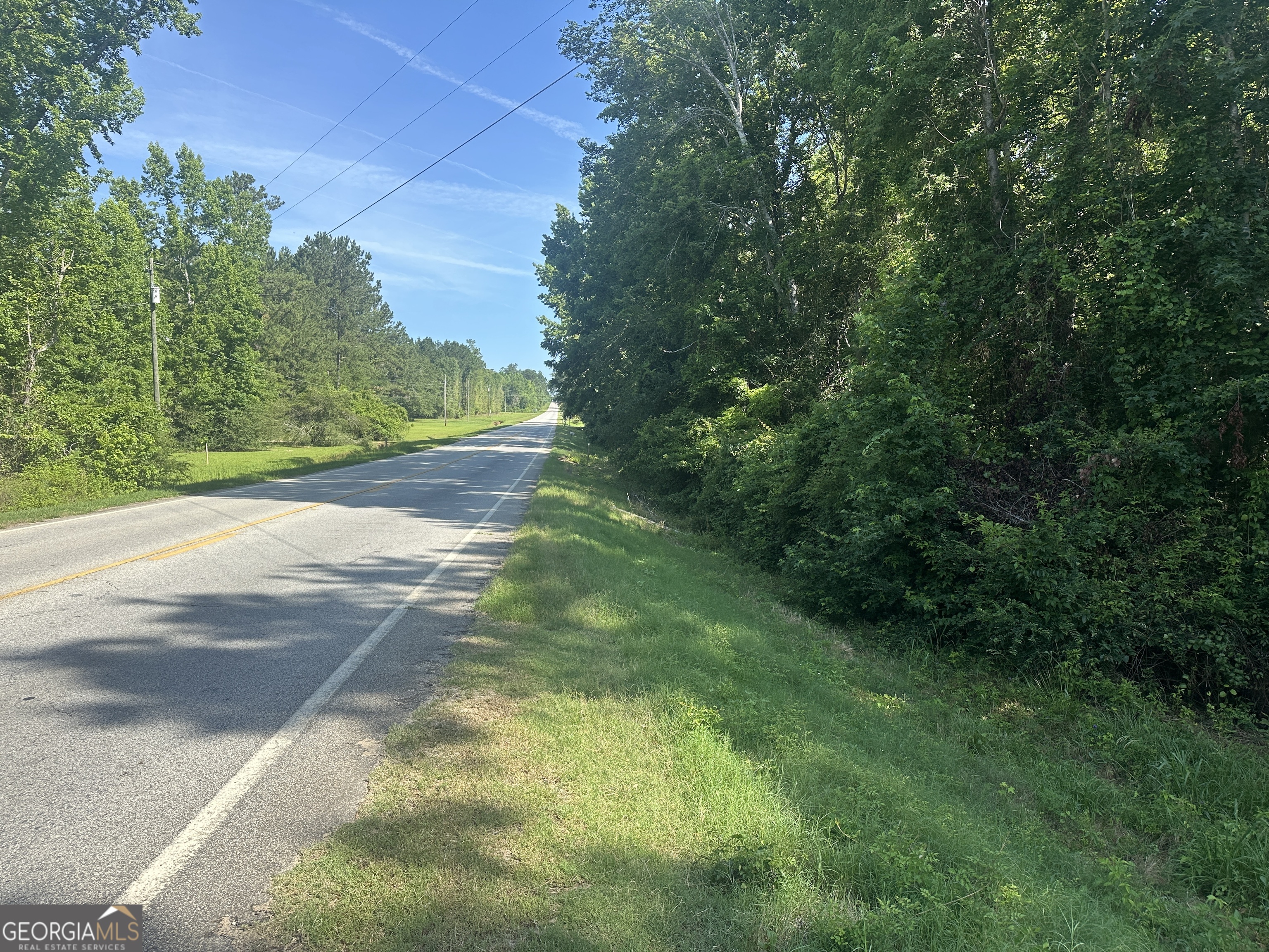 0 Waynesboro HWY