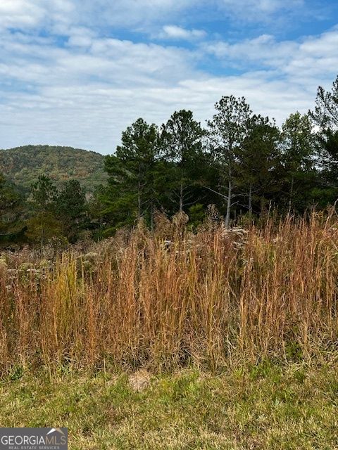 Photo of 1718 Pinehurst, Blairsville, GA 30512 (MLS # 10627647) Photo of 1718 Pinehurst, Blairsville, GA 30512 (MLS # 10627647)