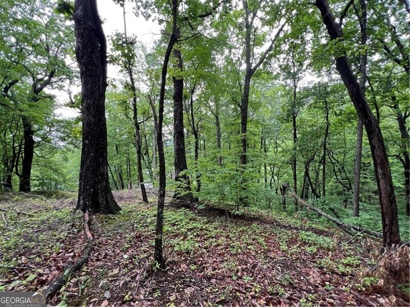 245 Sassafras Mountain TRL