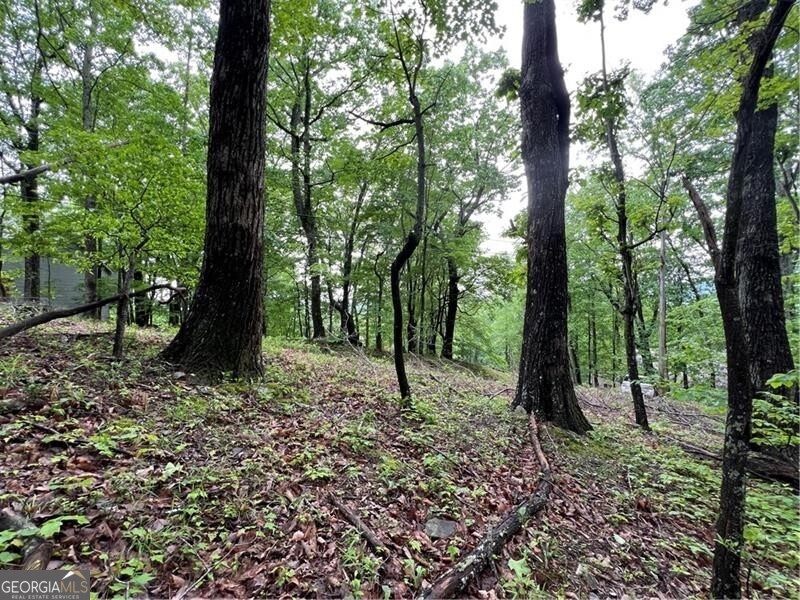 245 Sassafras Mountain TRL