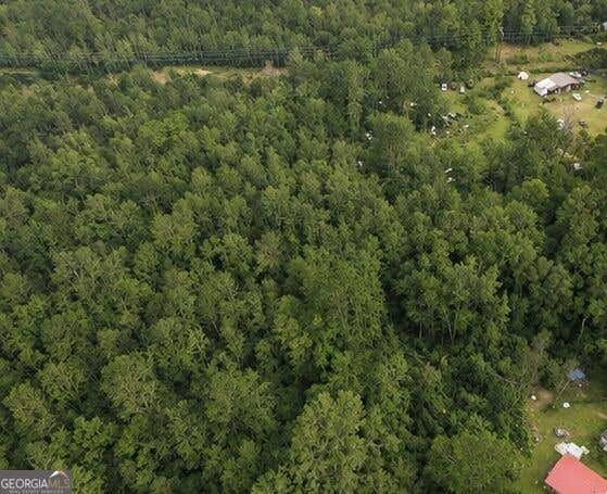 Photo of 0 Washington Street, Sardis, GA 30456 (MLS # 10828308)