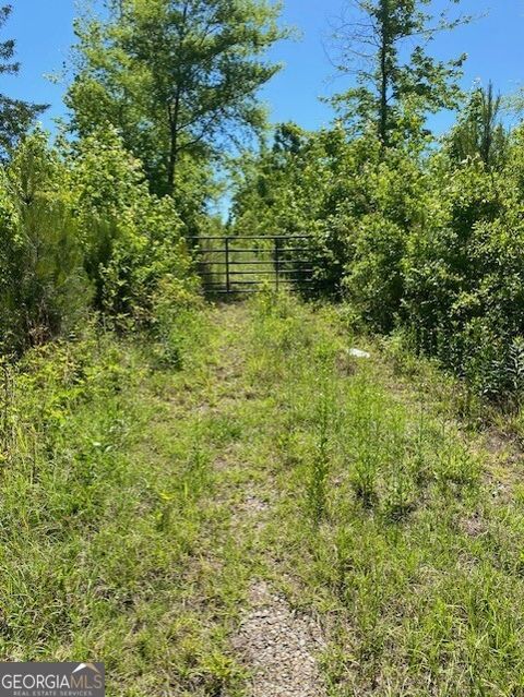 Photo of 1730 N Walkers Mill Road, Griffin, GA 30223 (MLS # 10766201)