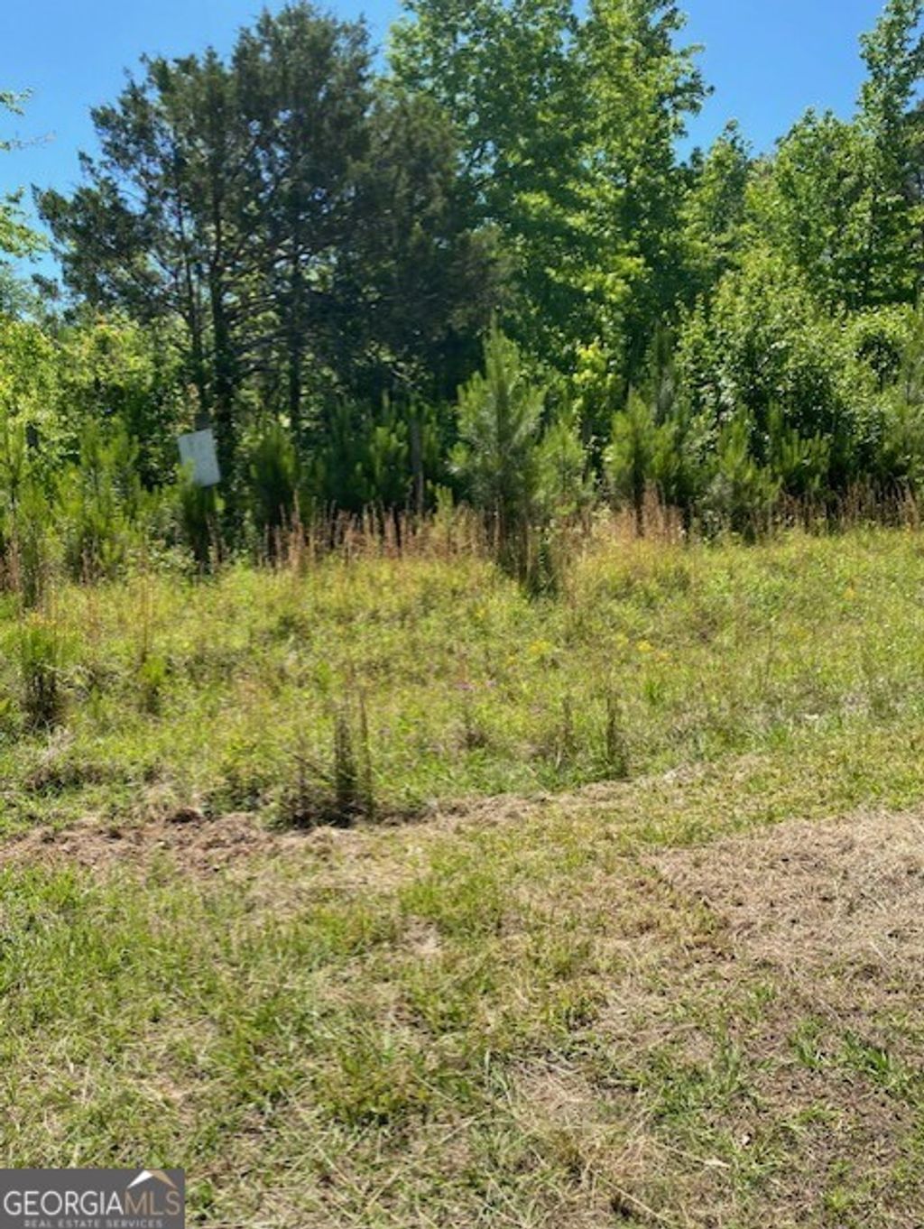Photo of 1730 N Walkers Mill Road, Griffin, GA 30223 (MLS # 10766201)