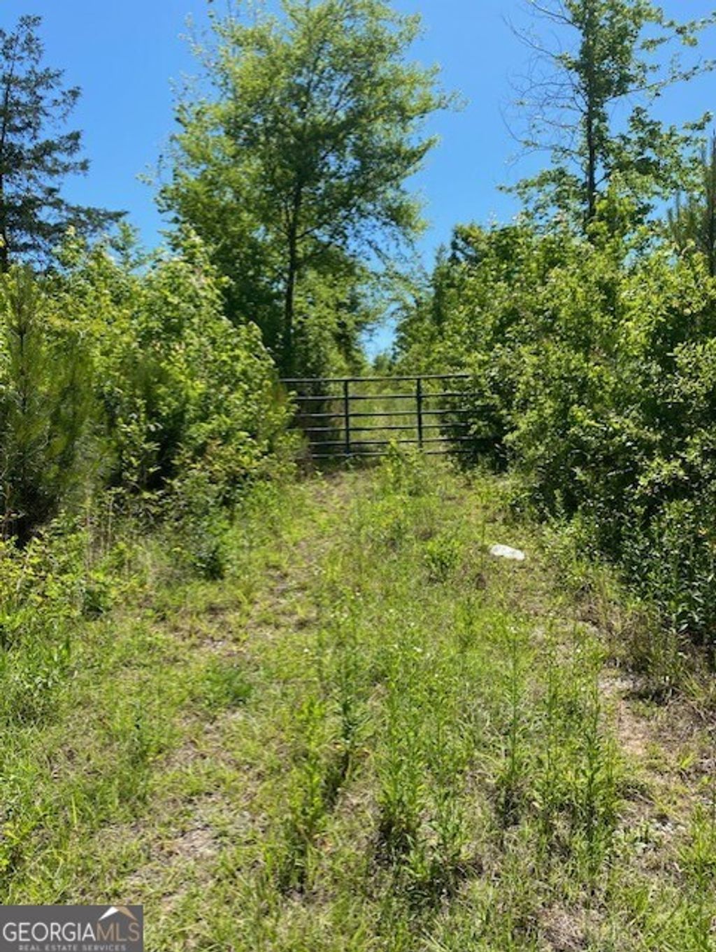 Photo of 1730 N Walkers Mill Road, Griffin, GA 30223 (MLS # 10766201)