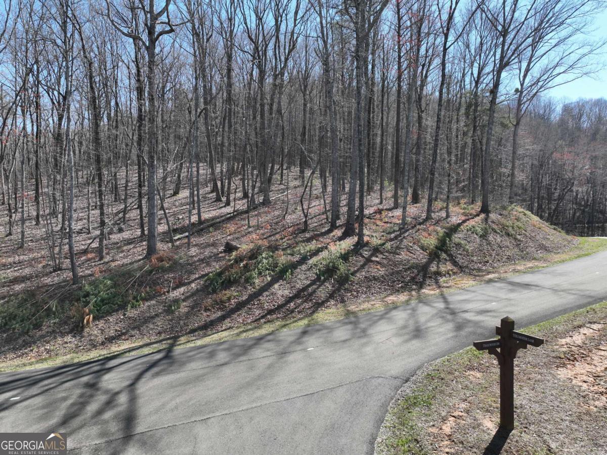 Beautiful wooded property with lots road frontage! Located on a peaceful road you'll find this lot private enough for serenity but still being close to neighbors so you feel like you're still in a neighborhood. At the road front on the left border you'll see a very nice entry point for a driveway that gently slopes upwards and parallel to the road. As you climb the land becomes rolling and towards the back the land gets a little steeper where you'll see another nice area for a home site that sits high above the road and seasonal mountain views are revealed. Approx 25 minutes to Ellijay or Jasper. So close to apple orchards, wineries, and more! The terrain photos are approximation only by using GPS to help gain a rough idea of the lay of the land. Home design and vista pruning must be approved by HOA Architectural committee. Custom home w 2 car garage and paved drive, 2000 sqft min preferred. Soil test on file in Gilmer County. HOA, gated, all buyers must be with an agent.