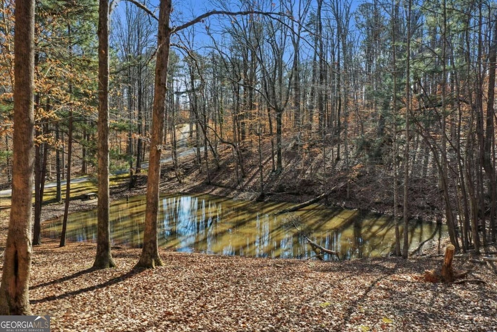 Photo of 437 Twin Lakes Drive, Canton, GA 30115 (MLS # 10850544)