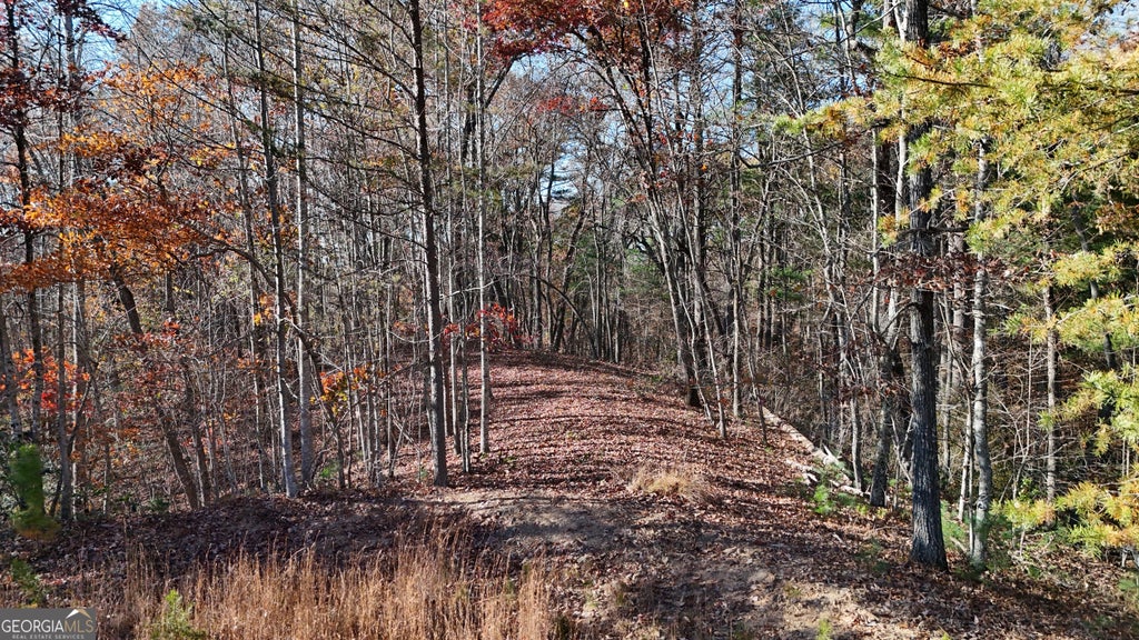 Photo of 197 Springwinds Drive, Cleveland, GA 30528 (MLS # 10849823)