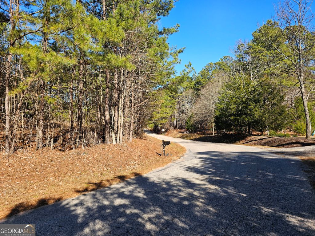 Photo of 0 Daniel Road, Villa Rica, GA 30180 (MLS # 10671215)