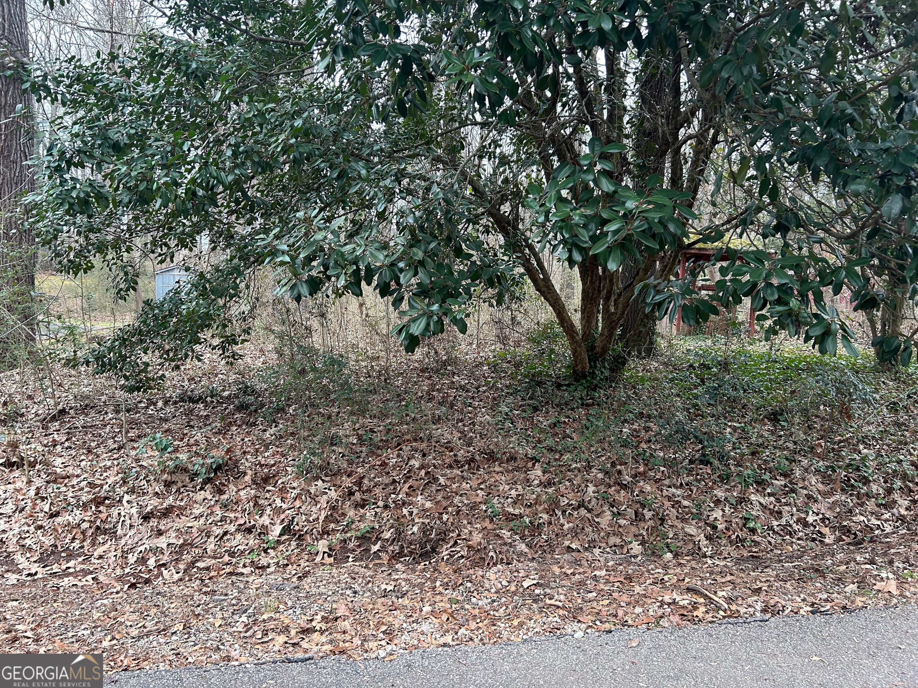 Swan Lake Lot available, not on waterfront, just off-lake, in the neighborhood. Just steps away from the boat ramp, with great views of the lake. Currently wooded lot, never been built. Empty wooded lot, located between 500 and 508 Oakview Drive. Those 2 neighbors have houses on them. This lot is in between those 2 parcels.
