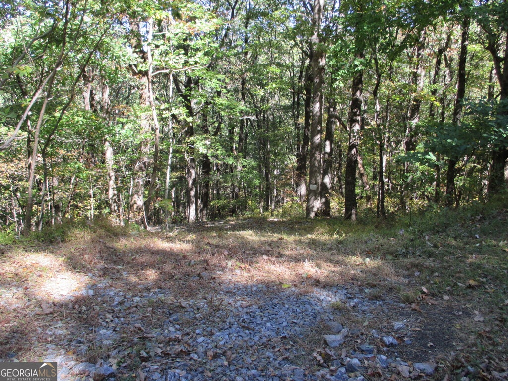 Photo of 54 High Cliff Road, Jasper, GA 30143 (MLS # 10877723)