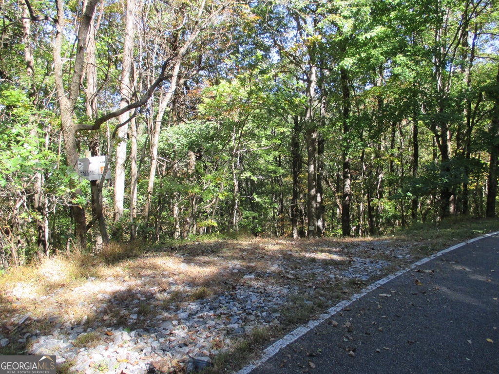 Photo of 54 High Cliff Road, Jasper, GA 30143 (MLS # 10877723)