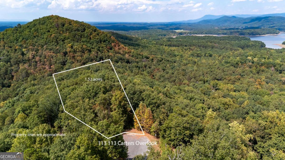 Welcome to your dream home site nestled in the North Georgia Mountains. This cul-de-sac lot offers wooded land that can be cleared to your liking and offers a beautiful backdrop of Carters Lake. There is an abundance of nature and wildlife around making this property ideal for outdoor enthusiast. The community is gated providing privacy, security and an abundance of amenities for you to enjoy. When building here, you truly get the best of both worlds. Who knew that mountain living could be achieved with affordability and convenience. This property would make an ideal primary or retirement home to relax & enjoy!