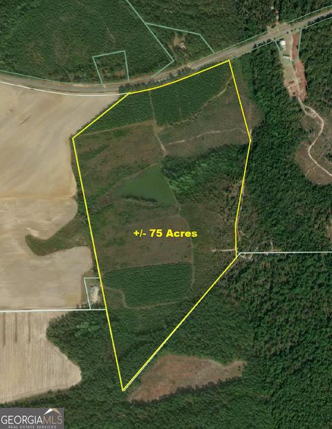 Photo of 0 Sardis Church Road, Kite, GA 31049 (MLS # 10601519)