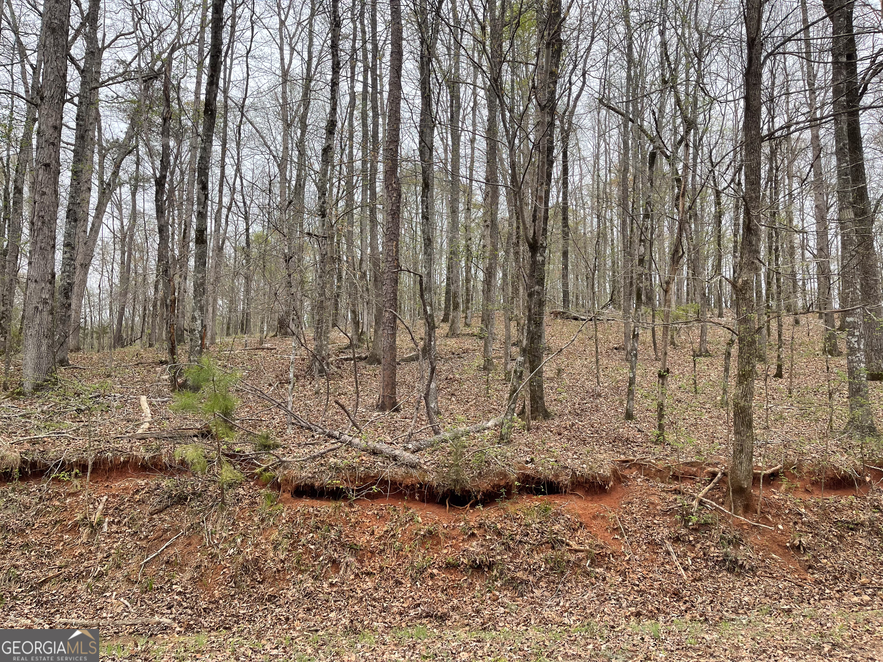 0 Green Oak Circle