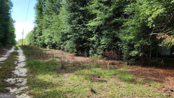 MARTIN WAY, WAYNESBORO, GA 30830 - Image c2f2cb8f2b95f0f407ec7eb9a877d162/3202988673