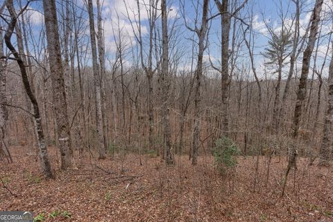 A home in Clarkesville