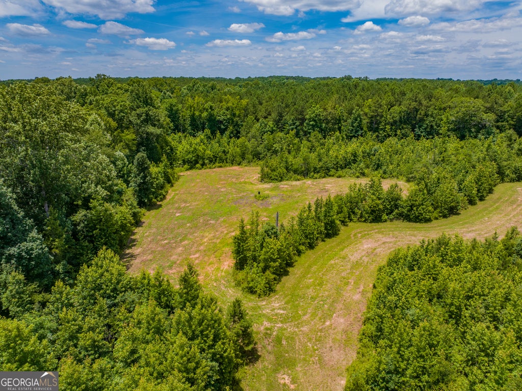Photo of 21 Cochran Road, Madison, GA 30650 (MLS # 10836000)