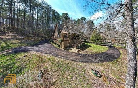 A home in Mineral Bluff