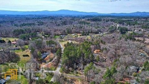 A home in Mineral Bluff