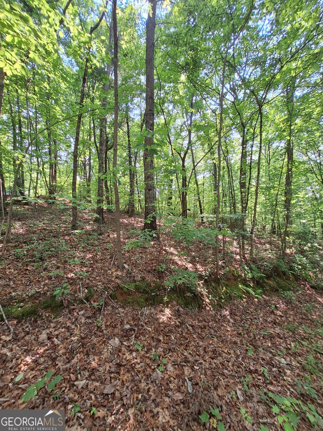 0 Sun Rock Mountain TRCE