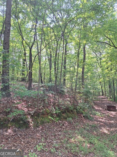 0 Sun Rock Mountain TRCE Blue Ridge GA 30513