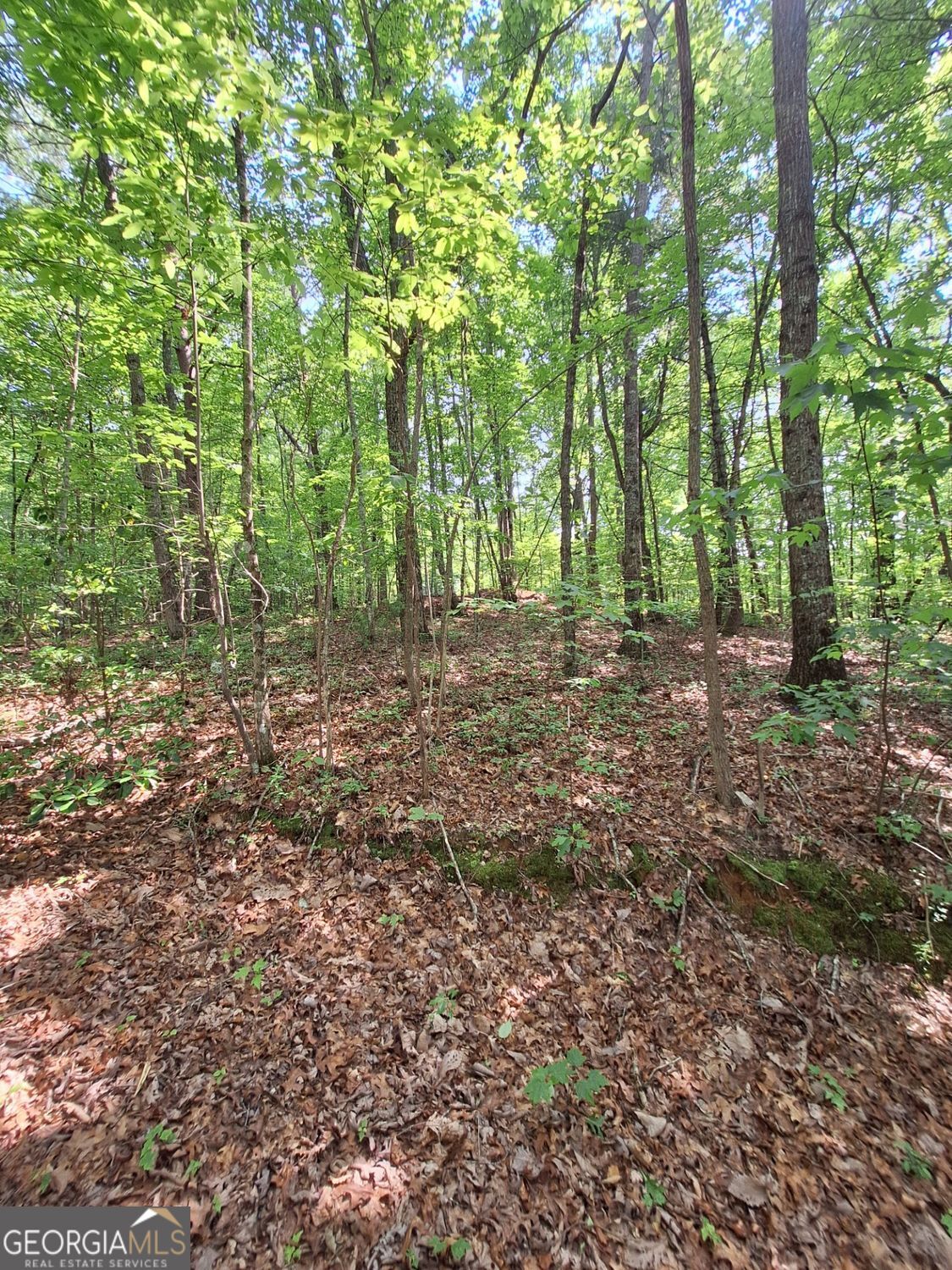 0 Sun Rock Mountain TRCE