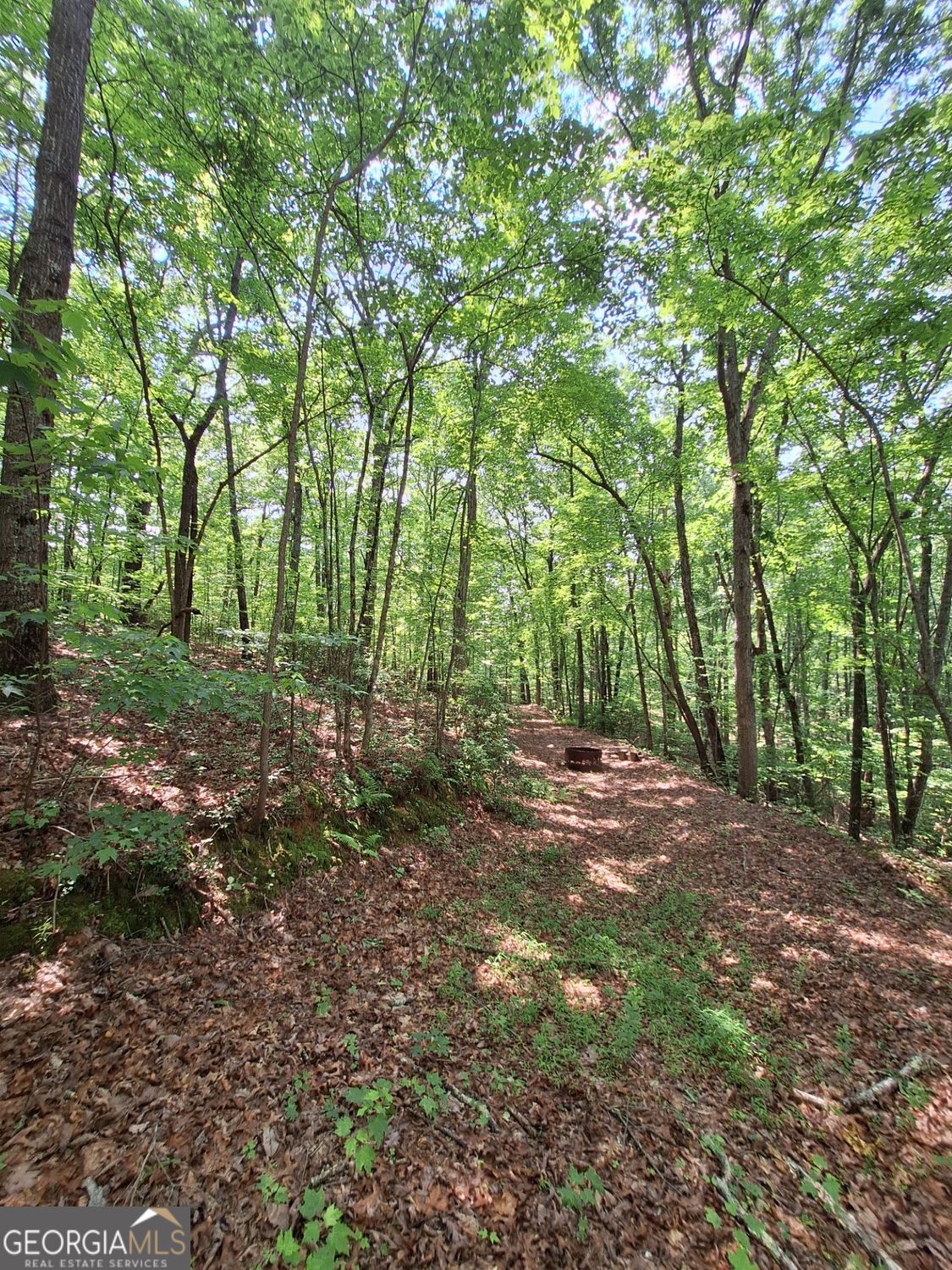 0 Sun Rock Mountain TRCE