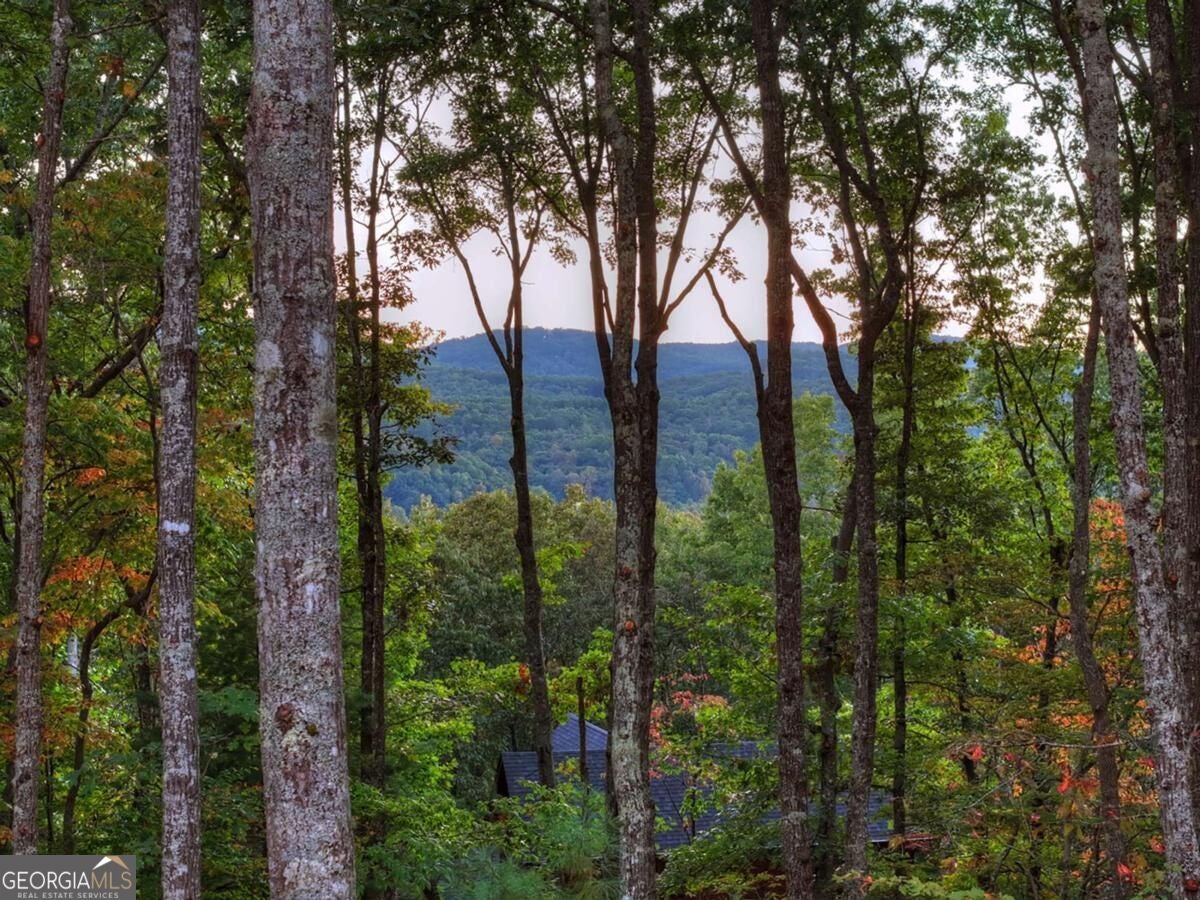 357 Spring Ridge TRL