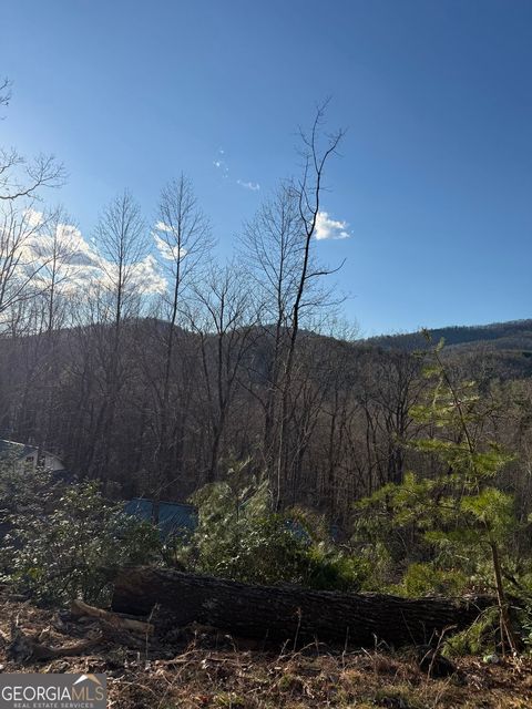 LOT 6D Meadow View Lane CLEVELAND GA 30528