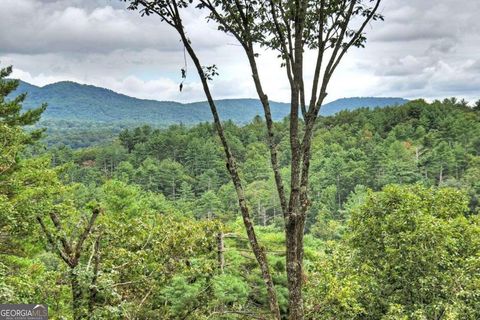 A home in Ellijay