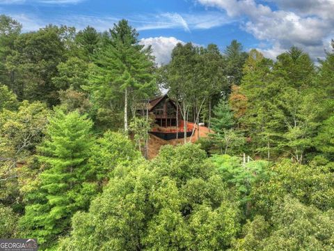 A home in Ellijay