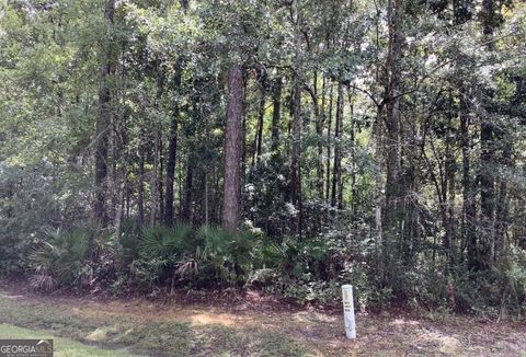 0 Canoe RUN LOT 91 Woodbine GA 31569